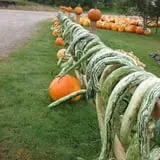 Eveland Family Farm photo