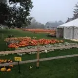 Eveland Family Farm photo