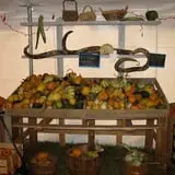 Eveland Family Farm photo
