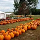 Eveland Family Farm photo