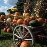 Eveland Family Farm photo