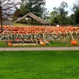 Eveland Family Farm photo