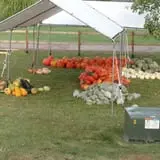 Eveland Family Farm photo
