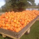 Eveland Family Farm photo