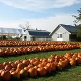 Eveland Family Farm photo