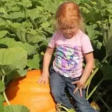 Spearfish Valley Corn Maze & Pumpkin Patch photo