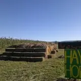 Spearfish Valley Corn Maze & Pumpkin Patch photo