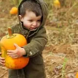 Spearfish Valley Corn Maze & Pumpkin Patch photo