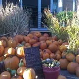 Spearfish Valley Corn Maze & Pumpkin Patch photo
