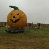 Spearfish Valley Corn Maze & Pumpkin Patch photo
