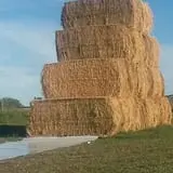 Spearfish Valley Corn Maze & Pumpkin Patch photo