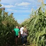 Spearfish Valley Corn Maze & Pumpkin Patch photo