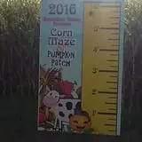Spearfish Valley Corn Maze & Pumpkin Patch photo