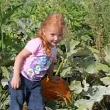 Spearfish Valley Corn Maze & Pumpkin Patch photo