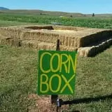 Spearfish Valley Corn Maze & Pumpkin Patch photo