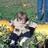 Spearfish Valley Corn Maze & Pumpkin Patch photo