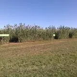 Spearfish Valley Corn Maze & Pumpkin Patch photo