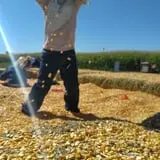 Spearfish Valley Corn Maze & Pumpkin Patch photo