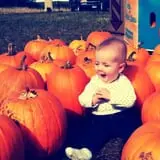 Spearfish Valley Corn Maze & Pumpkin Patch photo
