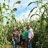 Spearfish Valley Corn Maze & Pumpkin Patch photo