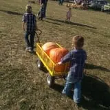 Spearfish Valley Corn Maze & Pumpkin Patch photo