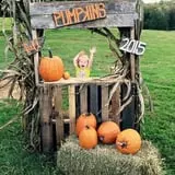 Narramore Farms Pumpkin Patch & Corn Maze photo