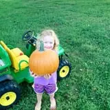 Narramore Farms Pumpkin Patch & Corn Maze photo