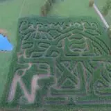Narramore Farms Pumpkin Patch & Corn Maze photo