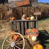 Narramore Farms Pumpkin Patch & Corn Maze photo