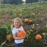 Narramore Farms Pumpkin Patch & Corn Maze photo