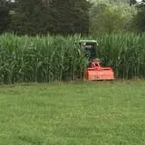 Narramore Farms Pumpkin Patch & Corn Maze photo