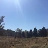 Narramore Farms Pumpkin Patch & Corn Maze photo