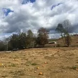 Narramore Farms Pumpkin Patch & Corn Maze photo