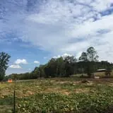 Narramore Farms Pumpkin Patch & Corn Maze photo