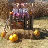 Narramore Farms Pumpkin Patch & Corn Maze photo