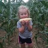 Narramore Farms Pumpkin Patch & Corn Maze photo