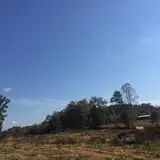 Narramore Farms Pumpkin Patch & Corn Maze photo