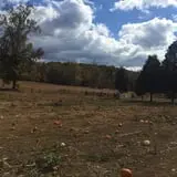 Narramore Farms Pumpkin Patch & Corn Maze photo