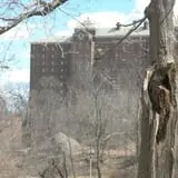 Fear Served Cold