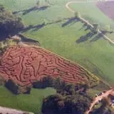 Preston Farms Corn Maze photo