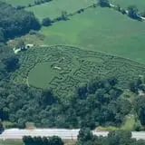 Preston Farms Corn Maze photo