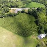 Preston Farms Corn Maze photo