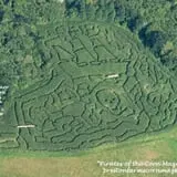 Preston Farms Corn Maze photo