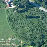 Preston Farms Corn Maze photo
