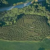 Preston Farms Corn Maze photo