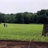 Preston Farms Corn Maze photo