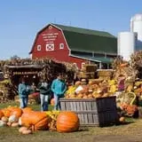 Three Cedars Farm photo