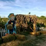 Three Cedars Farm photo