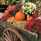Three Cedars Farm photo