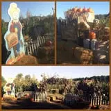 Three Cedars Farm photo